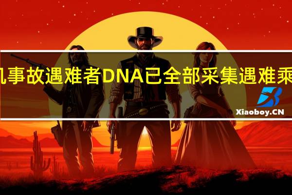 韩国客机事故遇难者DNA已全部采集  遇难乘客最后的短信