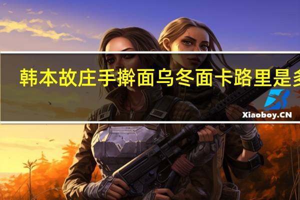 韩本故庄 手擀面乌冬面卡路里是多少