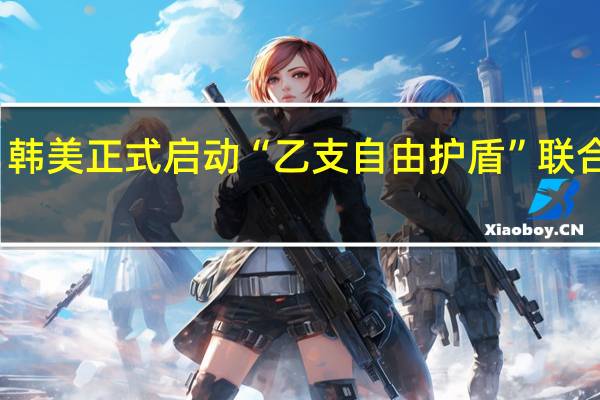 韩美正式启动“乙支自由护盾”联合军演