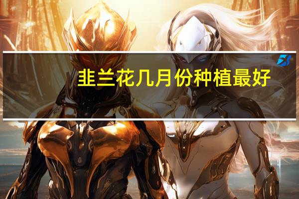 韭兰花几月份种植最好