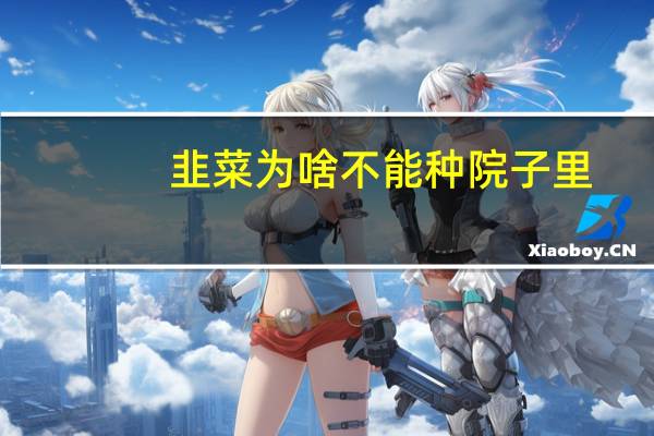 韭菜为啥不能种院子里