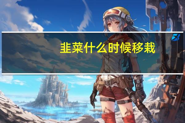 韭菜什么时候移栽