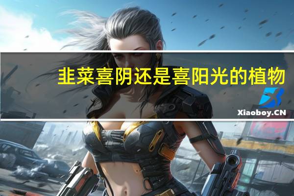 韭菜喜阴还是喜阳光的植物