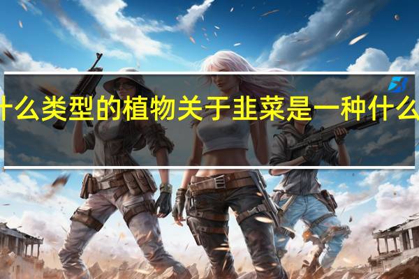韭菜是一种什么类型的植物 关于韭菜是一种什么类型的植物的介绍