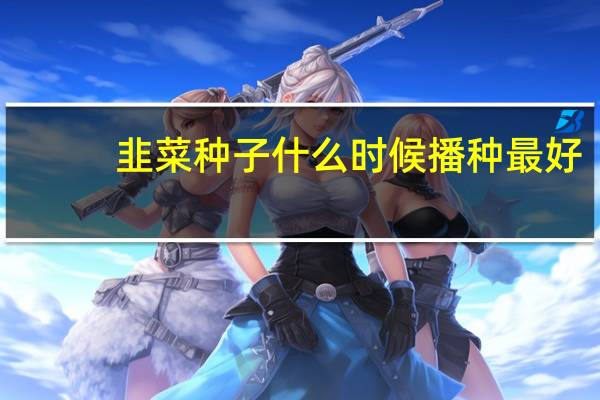 韭菜种子什么时候播种最好