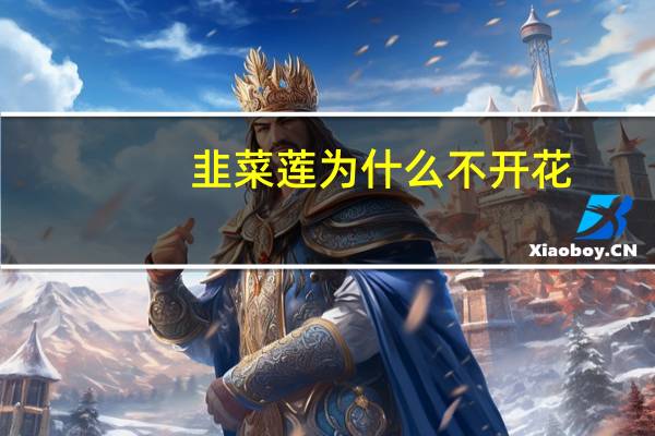 韭菜莲为什么不开花