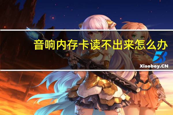 音响内存卡读不出来怎么办（内存卡读不出来怎么办）