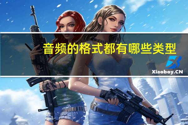 音频的格式都有哪些类型（音频的格式都有哪些）