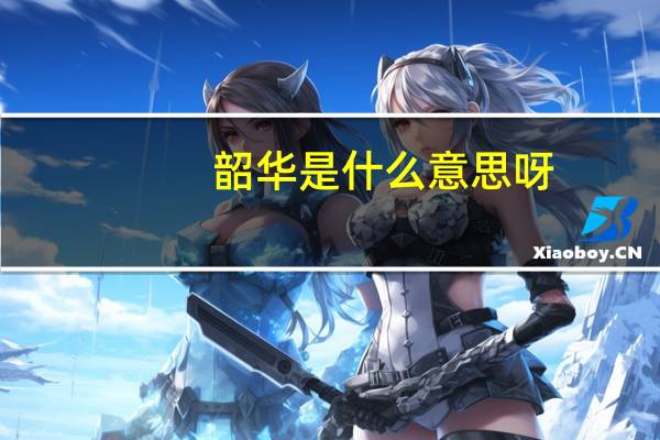 韶华是什么意思呀（韶华是什么意思）