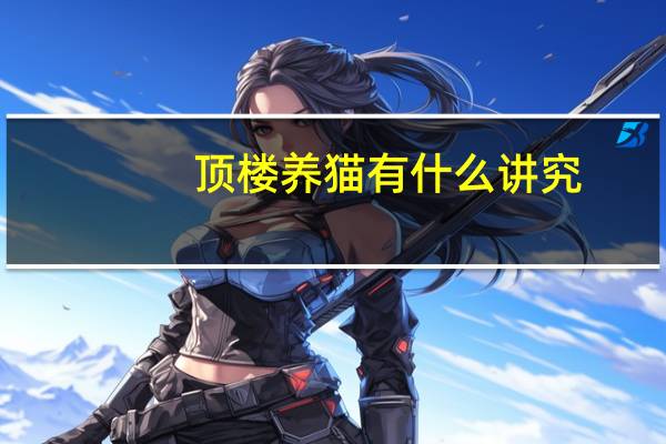 顶楼养猫有什么讲究