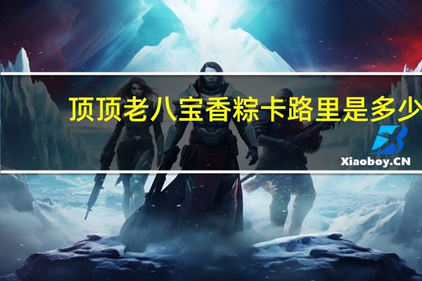 顶顶老 八宝香粽卡路里是多少
