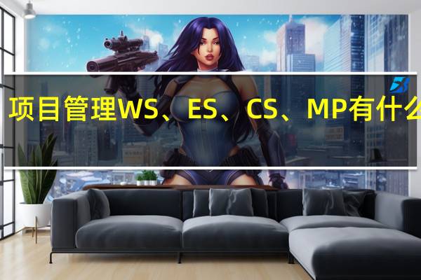 项目管理WS、 ES、 CS、 MP有什么不同