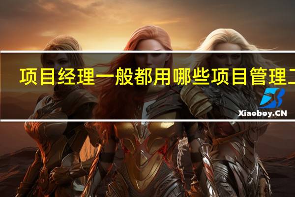 项目经理一般都用哪些项目管理工具
