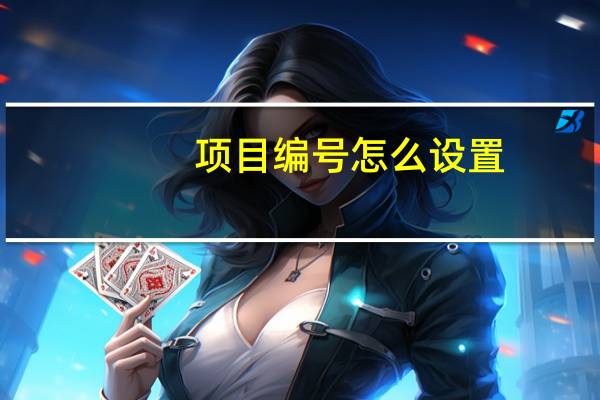 项目编号怎么设置（项目编号）