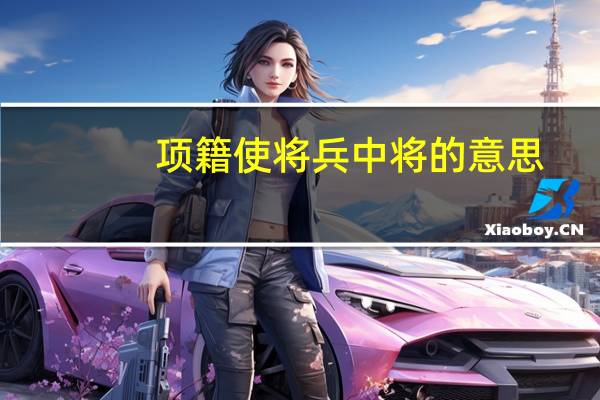项籍使将兵中将的意思