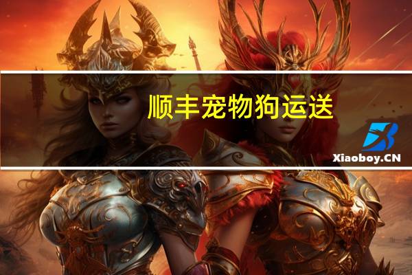 顺丰宠物狗运送