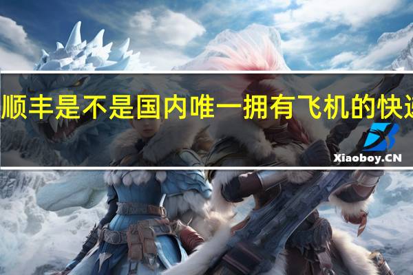 顺丰是不是国内唯一拥有飞机的快递公司