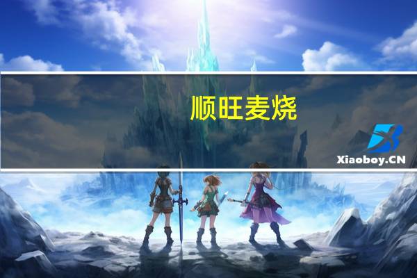 顺旺 麦烧(香辣味)的热量是多少