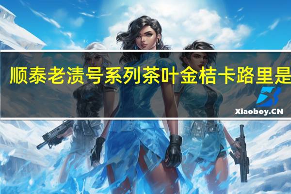 顺泰 老渍号系列 茶叶金桔卡路里是多少