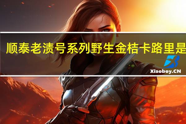 顺泰 老渍号系列 野生金桔卡路里是多少