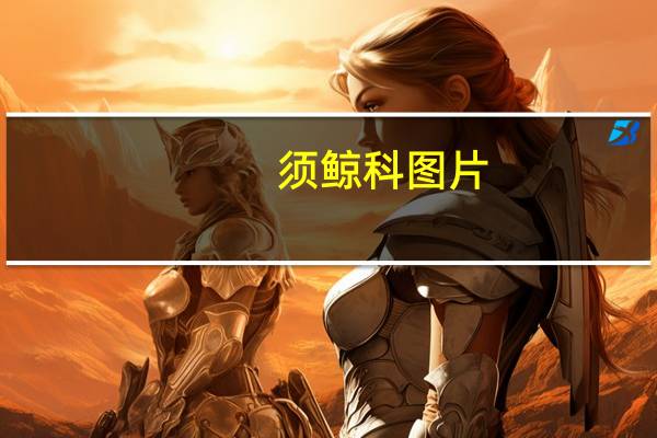 须鲸科图片（须鲸科）