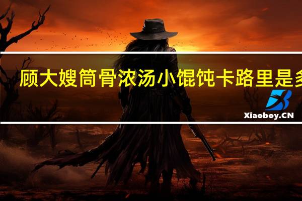 顾大嫂 筒骨浓汤小馄饨卡路里是多少