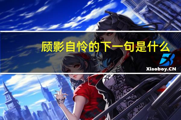 顾影自怜的下一句是什么