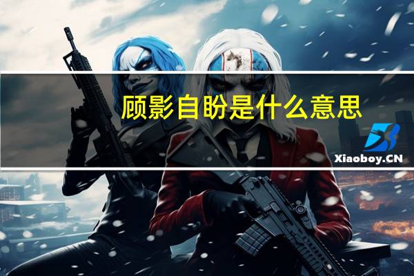 顾影自盼是什么意思