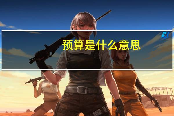 预算是什么意思