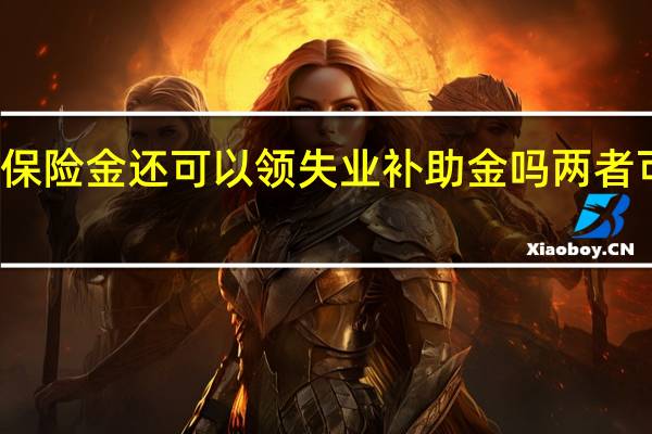 领了失业保险金还可以领失业补助金吗　两者可以同时领取吗