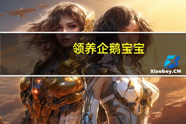 领养企鹅宝宝（领养企鹅）
