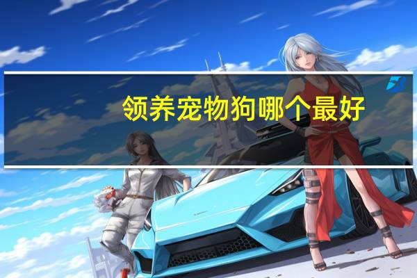 领养宠物狗哪个最好