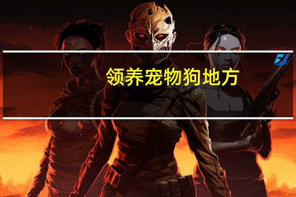 领养宠物狗地方
