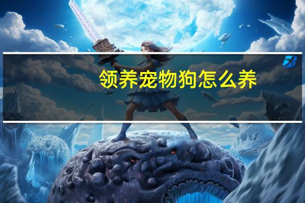 领养宠物狗怎么养