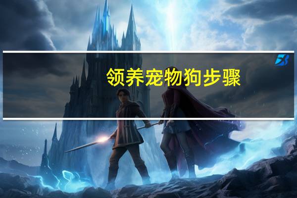 领养宠物狗步骤