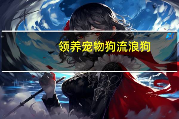 领养宠物狗流浪狗