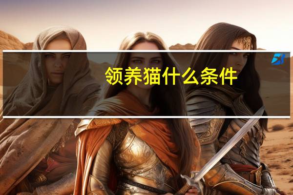 领养猫什么条件