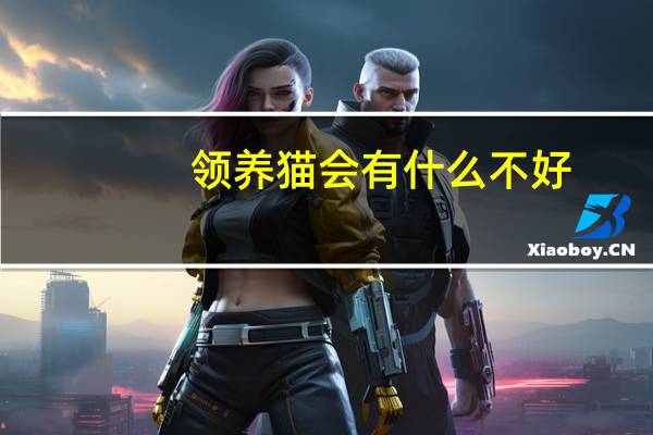 领养猫会有什么不好