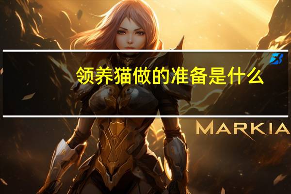 领养猫做的准备是什么