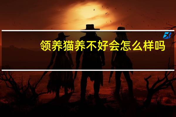 领养猫养不好会怎么样吗