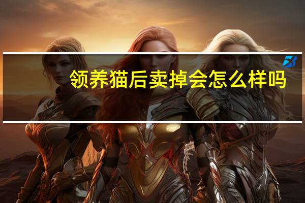 领养猫后卖掉会怎么样吗