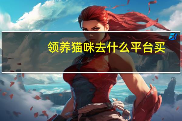 领养猫咪去什么平台买