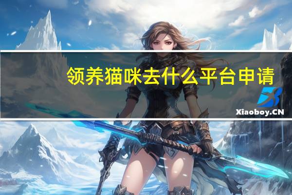 领养猫咪去什么平台申请