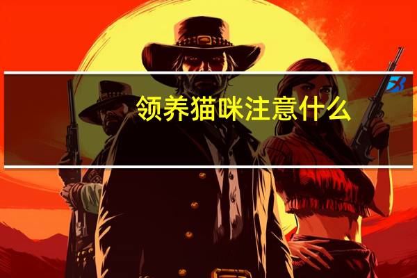 领养猫咪注意什么