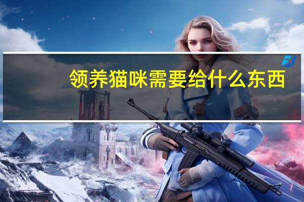 领养猫咪需要给什么东西