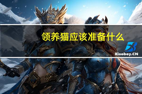 领养猫应该准备什么