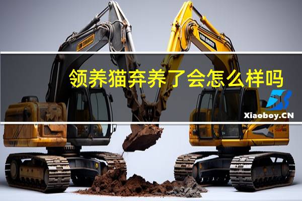领养猫弃养了会怎么样吗