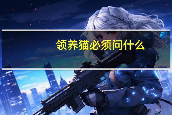 领养猫必须问什么