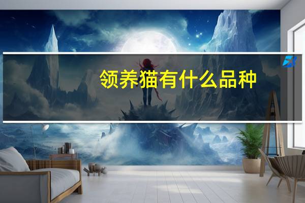 领养猫有什么品种