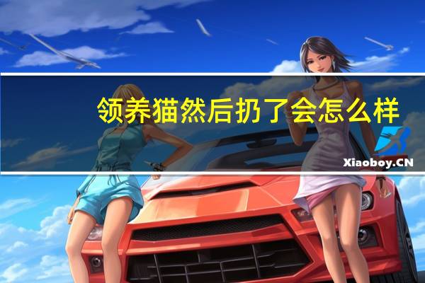 领养猫然后扔了会怎么样